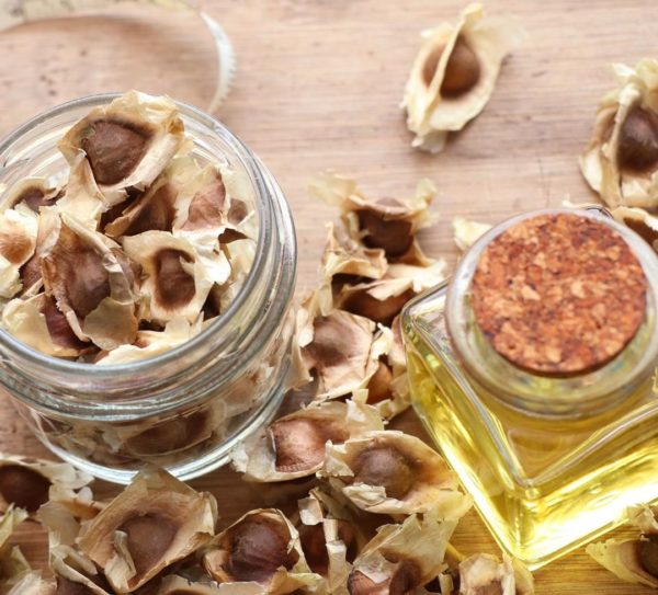 Moringa-seeds-1-1.jpg